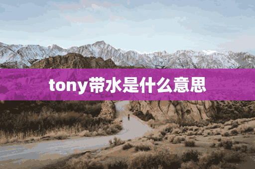 tony带水是什么意思